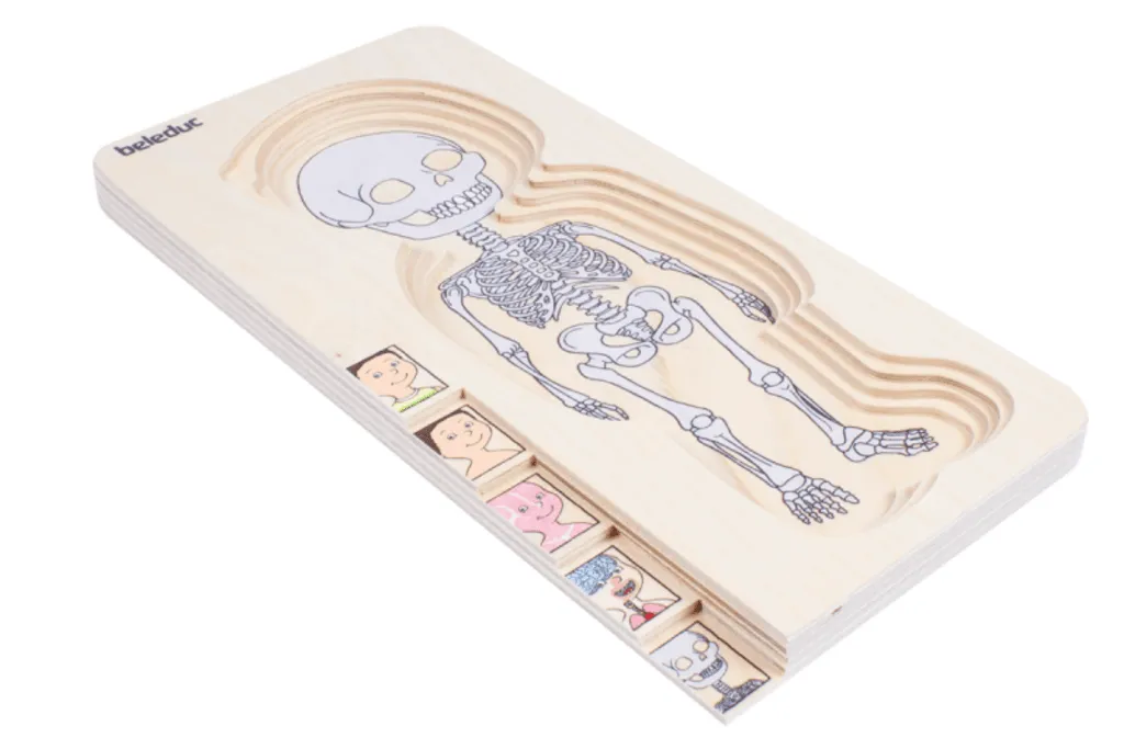 Beleduc Boy Layer Puzzle