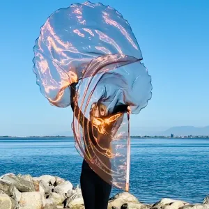 Bronze Sheer Worship Flags