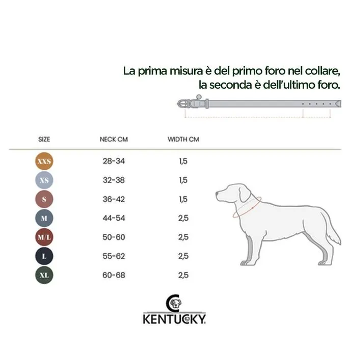DOG COLLAR KENTUCKY