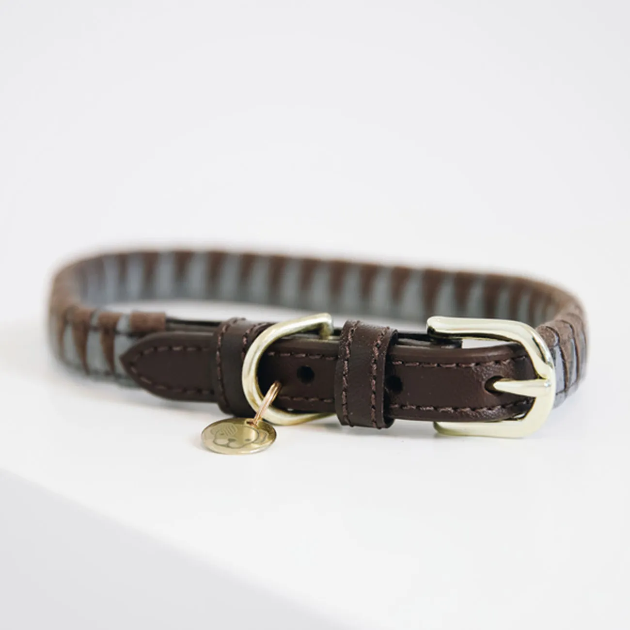 DOG COLLAR KENTUCKY