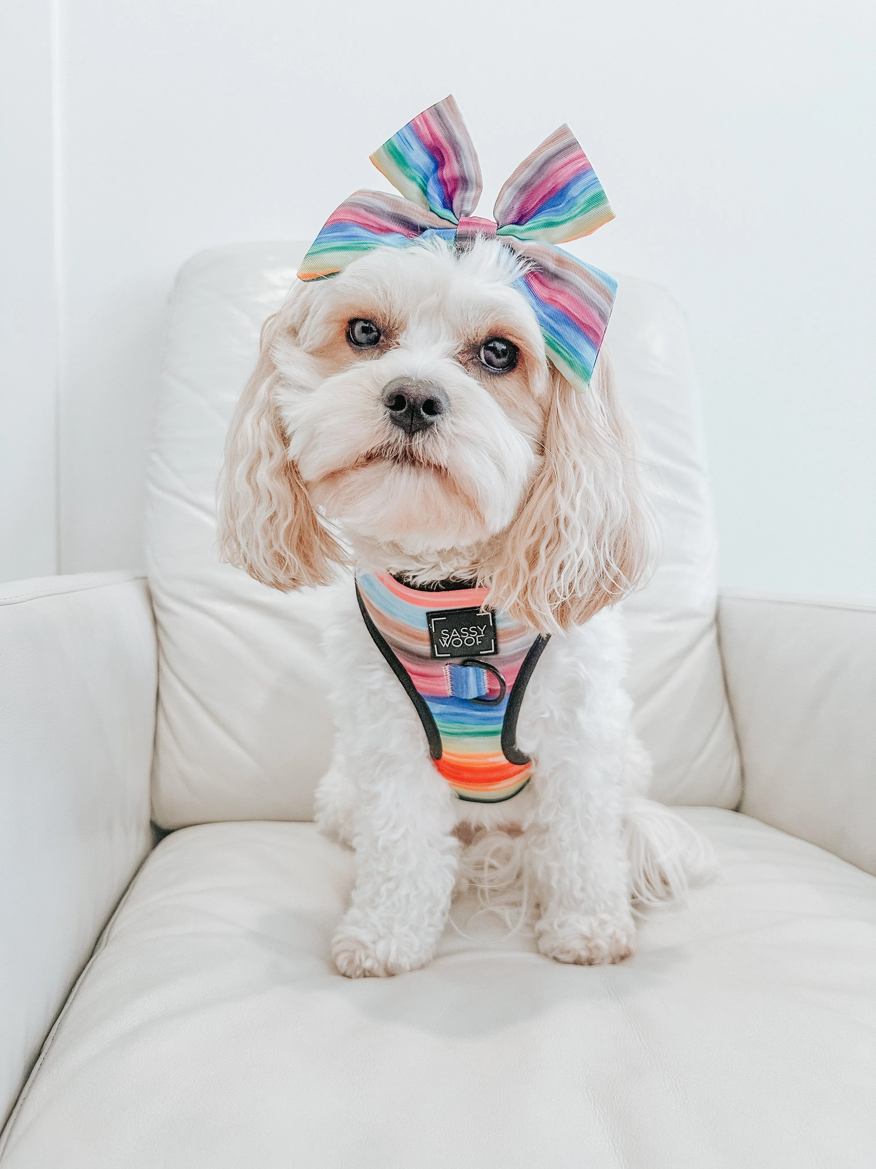 Dog Sailor Bow - Love You Fur You