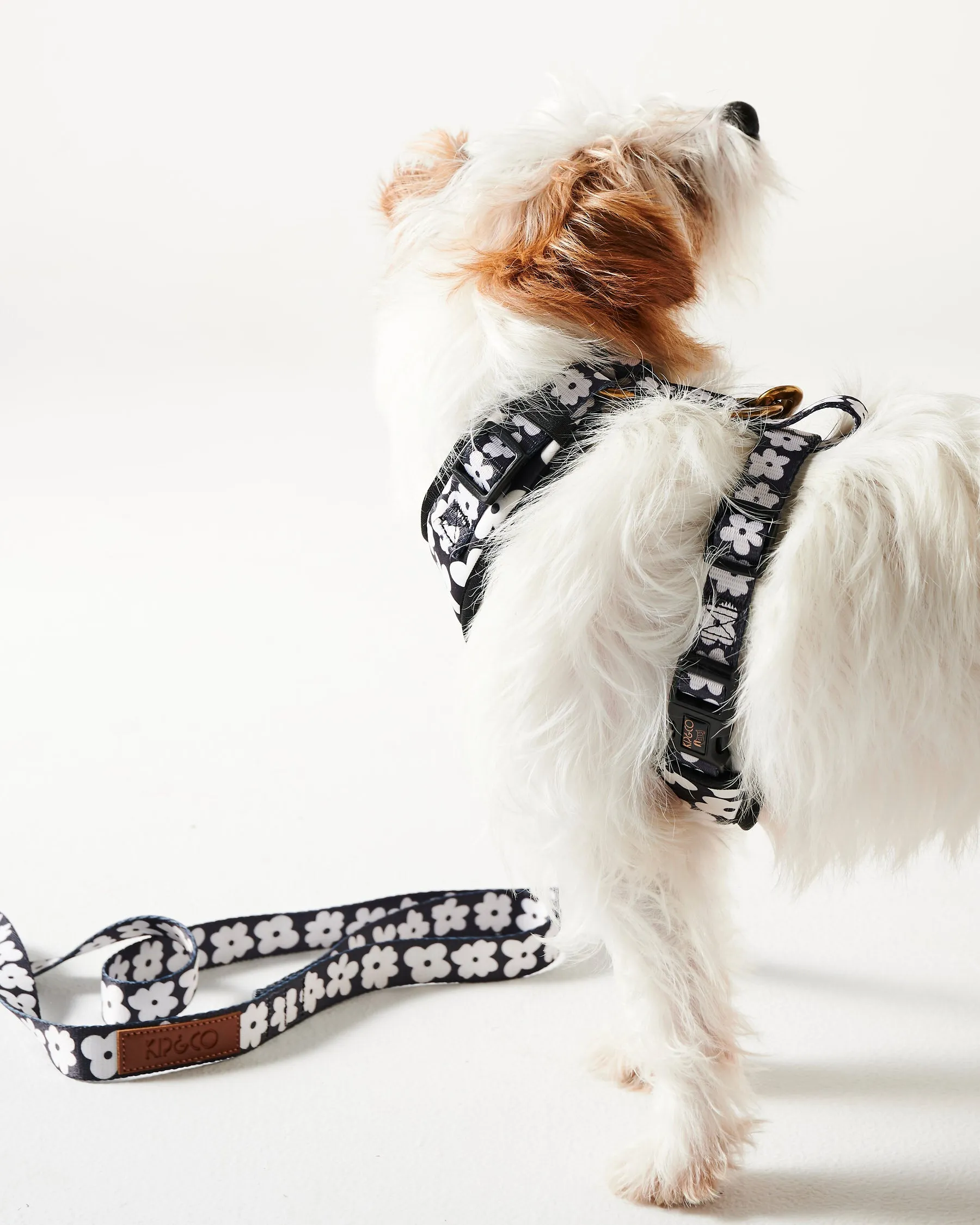 Flower Face Dog Harness