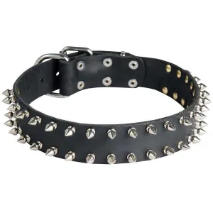 Furry Friend Leather Spike Collar for Dogs