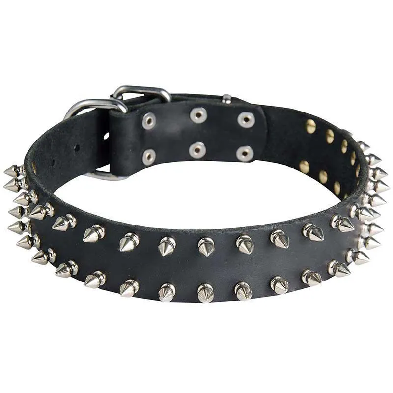 Furry Friend Leather Spike Collar for Dogs