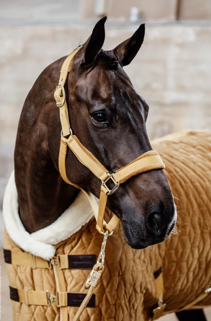 Kentucky Velvet Show Rug
