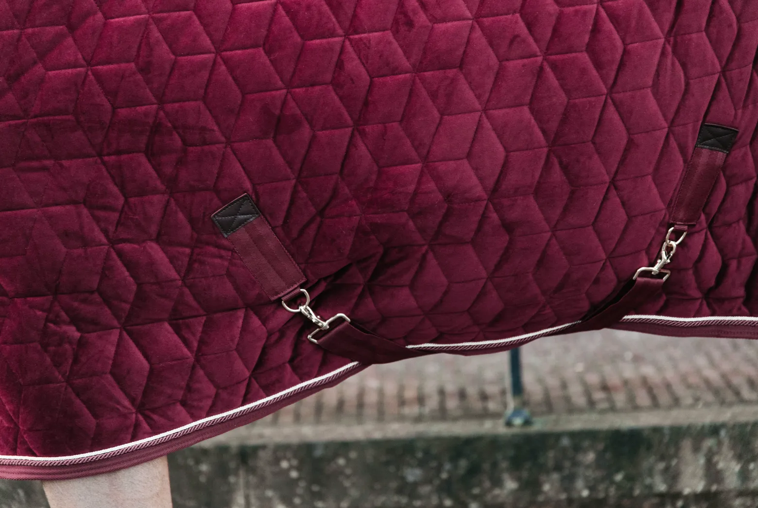 Kentucky Velvet Show Rug
