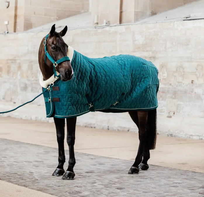 Kentucky Velvet Show Rug