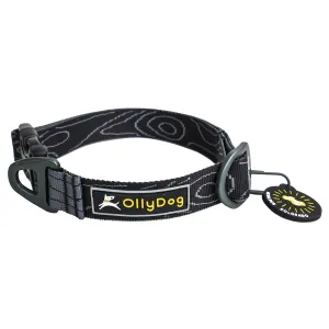 OllyDog Flagstaff Collar  Raven Bark | Buy OllyDog Flagstaff Collar  Raven Bark here | Outnorth