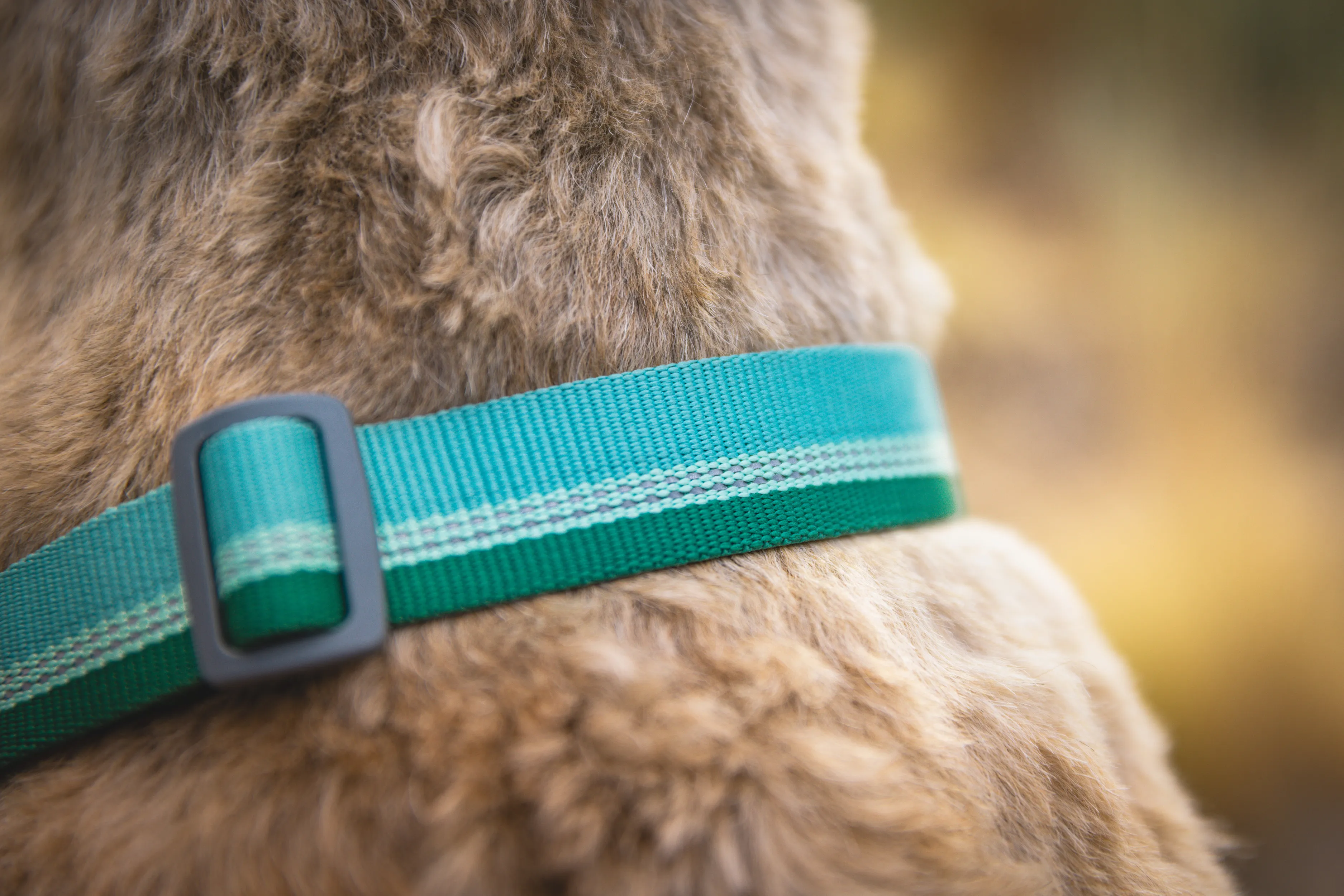 Ruffwear Chain Reaction™ Collar River Rock Green | Buy Ruffwear Chain Reaction™ Collar River Rock Green here | Outnorth